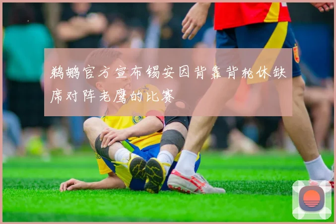 鹈鹕官方宣布锡安因背靠背轮休缺席对阵老鹰的比赛