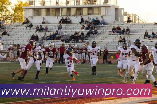 米兰体育APP 封面图